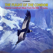 The Flight Of The Condor (Vinyl)