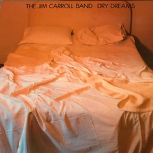 Dry Dreams (Vinyl)
