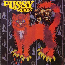 Pussy Plays
