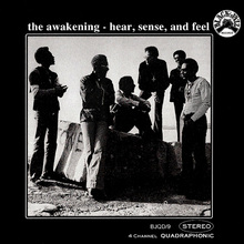 Hear, Sense And Feel (Vinyl)
