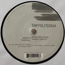 Sight Is Something More Than All Things Seen (EP) (Vinyl)