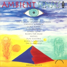 Ambient Senses - The Vision
