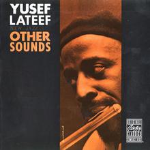 Other Sounds (Vinyl)