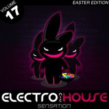 Electronic House Sensation Vol.17 CD1