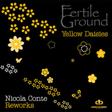 Yellow Daisies (Nicola Conte Reworks) (CDR)