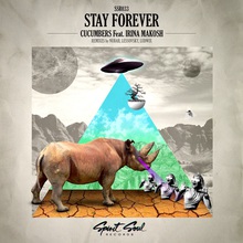 Stay Forever (Feat. Irina Makosh) (MCD)