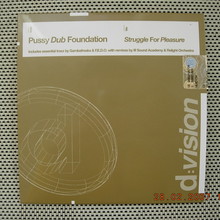 Struggle for Pleasure (Promo CDM)