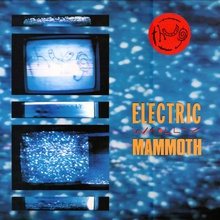 Electric Woolly Mammoth (Vinyl)