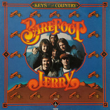 Keys To The Country (Vinyl)