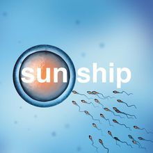 The Sun Ship (CDS)