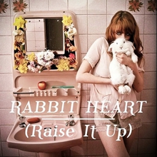 Rabbit Heart (Raise It Up) (CDS)