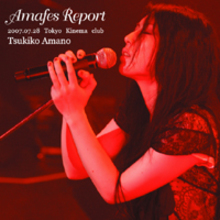 Amafes Report 2007 (Live)