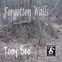 Forgotten Walls