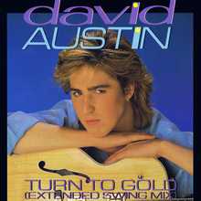 Turn To Gold (EP) (Vinyl)