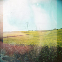 Yellow Meadows (CDS)