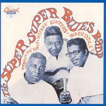 The Super Super Blues Band (with Muddy Waters, Bo Diddley)