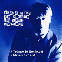 There Must Be A Hole In Your Memory: A Tribute To The Sound & Adrian Borland