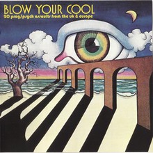 Blow Your Cool: 20 Prog (Psych Assaults From The Uk)