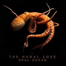 The Hadal Zone
