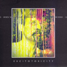 Excitotoxicity (With Graham Bowers)