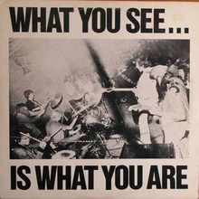 What You See Is Whatyou Are (Vinyl)