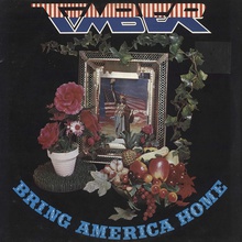 Bring America Home (Vinyl)