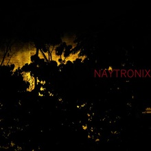 Naytronix