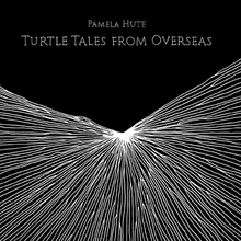 Turtle Tales From Overseas