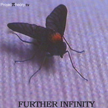 Further Infinity