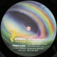 Private Plates Vol. 1 (VLS)
