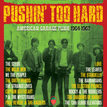 Pushin' Too Hard (American Garage Punk 1964-67) CD2