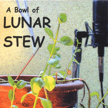 A Bowl of Lunar Stew