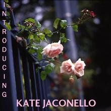 Introducing Kate Jaconello