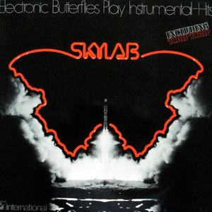 Electronic Butterflies - Skylab (Vinyl) Mp3 Album Download