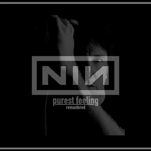 Nine Inch Nails - Purest Feeling Mp3 Album Download