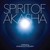 Spirit Of Akasha (Celebrating Morning Of The Earth Soundtrack)