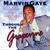 1993  -  Marvin Gaye In Concert (Live) 1993