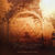 Selected Ambient Works Vol. 2 (Expanded Edition)