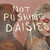 Not Pushing Daisies (With Harrison First)