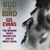 Bud And Bird