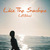 Like The Sunshine (Radio Edit) (CDS)
