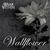 Wallflower (CDS)