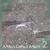 Collected Works, Vol. 2
