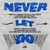 Never Let Go (CDS)