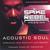 Acoustic Soul/Love