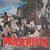 Warrior (Vinyl)