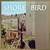 Shore Bird