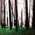 Inside The Trees