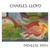 Pathless Path (Vinyl)