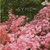 Here Comes The Sun (CDS)